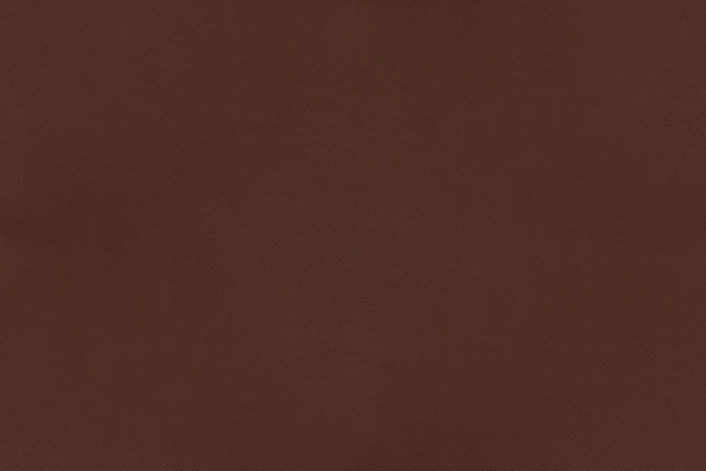 Cognac (Ultra 41598)